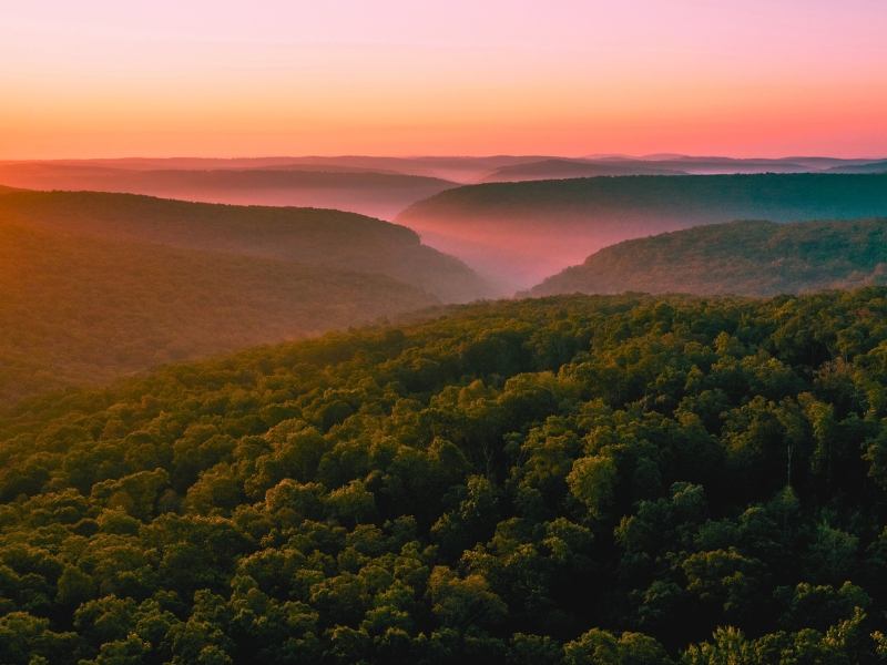 A panoramic view of the Ozark Mountains, showcasing rolling hills covered in dense forests of green foliage.