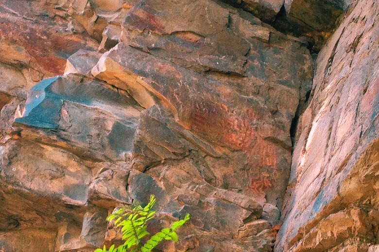 A majestic rock cliff featuring a prominent boulder and a fern, rich in history with ancient pictographs in North Carolina.