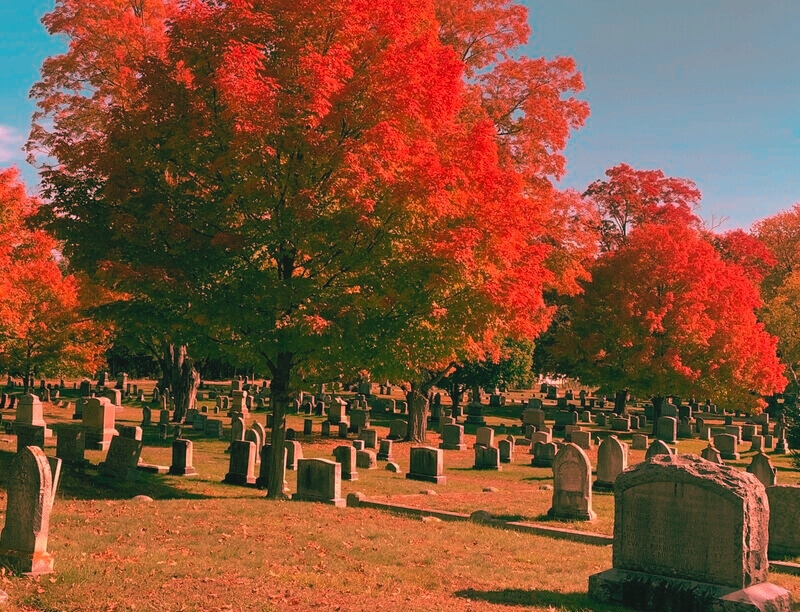 Scenic autumn landscape in Pine Hill Cemetery, highlighting the beauty of trees and tombstones in a historic graveyard.